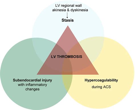 lv thrombosis|Lv thrombus symptoms.